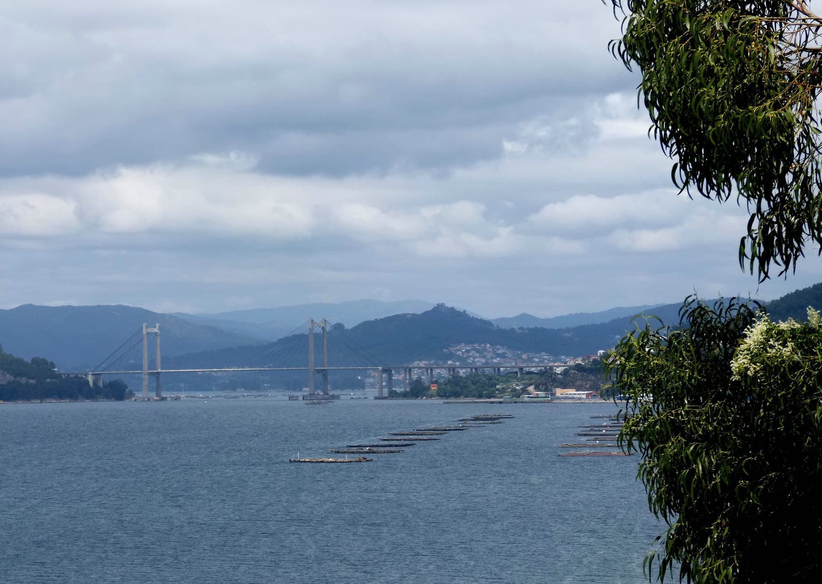 The Rande bridge crossing the Ría de Vigo above mussel rafts